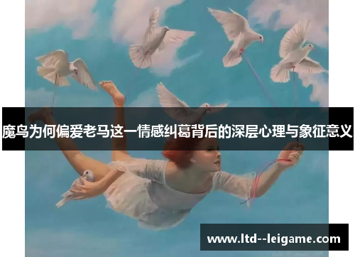魔鸟为何偏爱老马这一情感纠葛背后的深层心理与象征意义